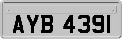 AYB4391