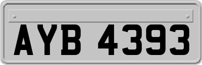 AYB4393