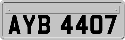 AYB4407