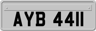 AYB4411