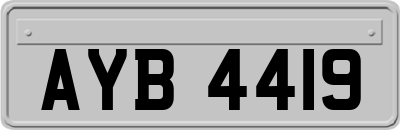 AYB4419