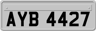 AYB4427