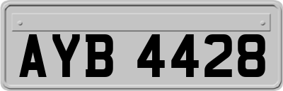 AYB4428