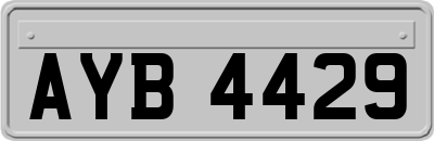 AYB4429