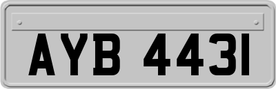AYB4431