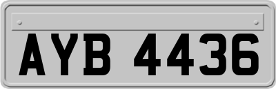 AYB4436