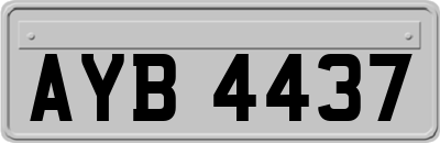 AYB4437