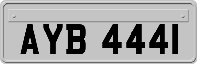 AYB4441