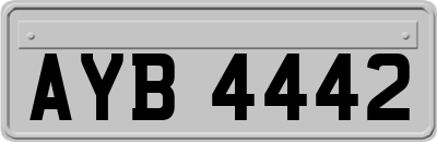 AYB4442