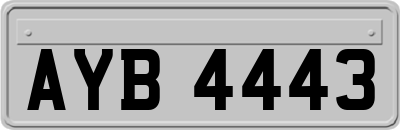 AYB4443