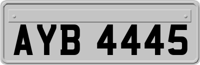 AYB4445