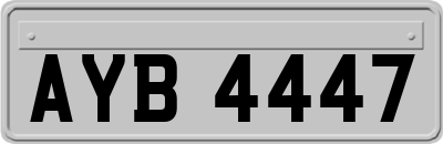 AYB4447