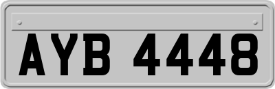 AYB4448