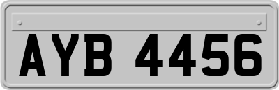 AYB4456