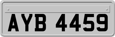 AYB4459