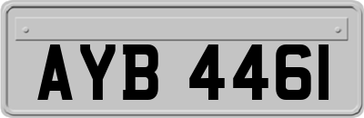 AYB4461