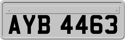 AYB4463
