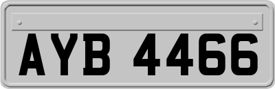 AYB4466