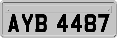 AYB4487