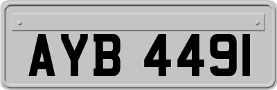 AYB4491