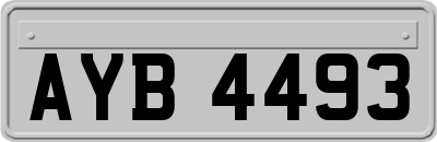AYB4493