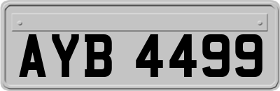 AYB4499