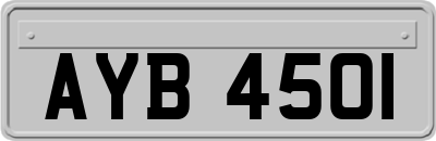 AYB4501