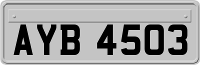 AYB4503