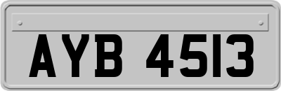 AYB4513