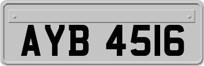AYB4516