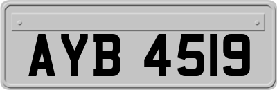 AYB4519