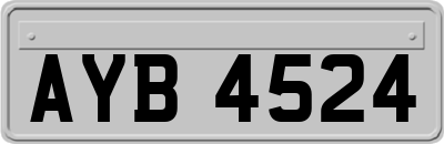 AYB4524