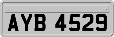 AYB4529