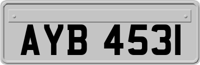 AYB4531