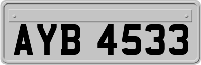 AYB4533