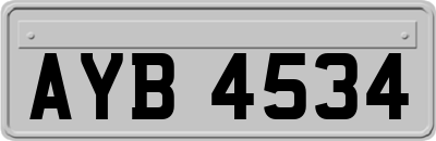 AYB4534