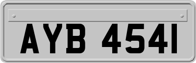 AYB4541