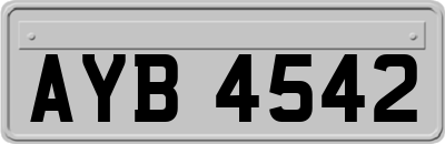 AYB4542