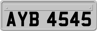 AYB4545