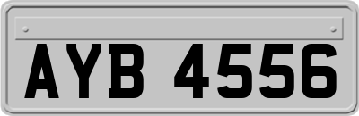AYB4556