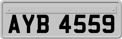 AYB4559