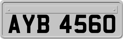 AYB4560