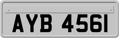 AYB4561