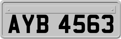 AYB4563