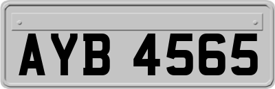 AYB4565