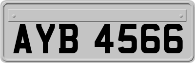 AYB4566