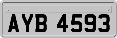 AYB4593