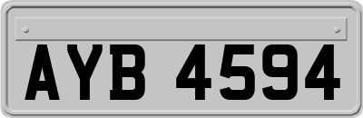 AYB4594