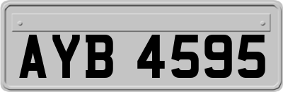 AYB4595