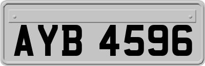 AYB4596